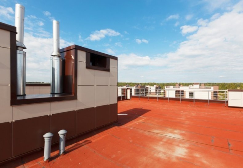 �� ���������, �. ����������